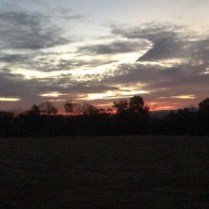 Meet your Posher, Molly